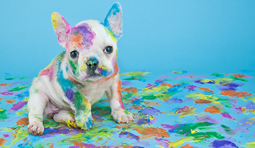 Graphic Design Services